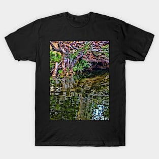 Reflections - Turon River T-Shirt